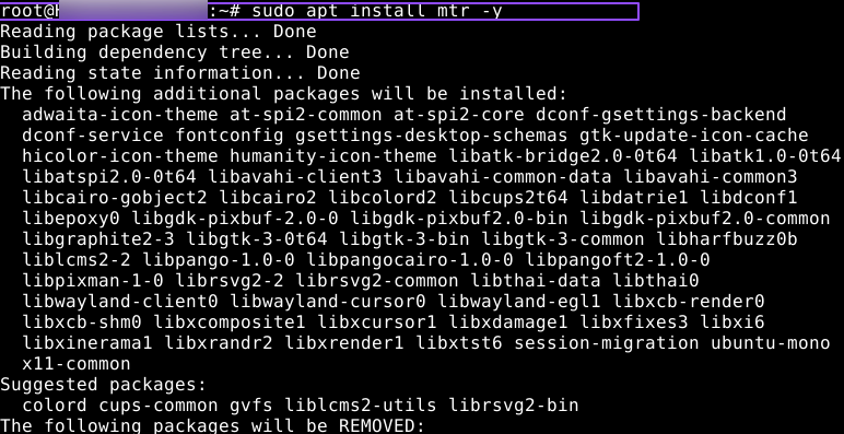 sudo apt install mtr -y