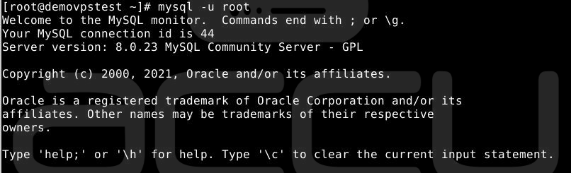 Login MySQL