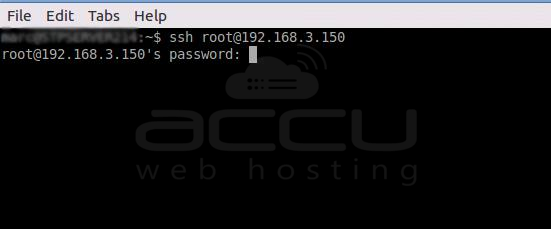 Conexión SSH desde la terminal en el sistema operativo Linux