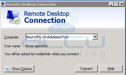 Enter VPS IP Address with Port Number