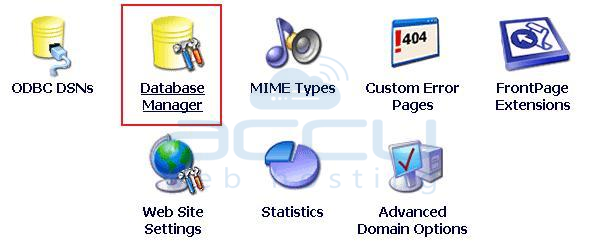 Select Database Manager Option