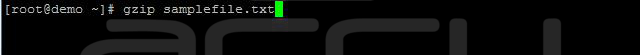 zip file