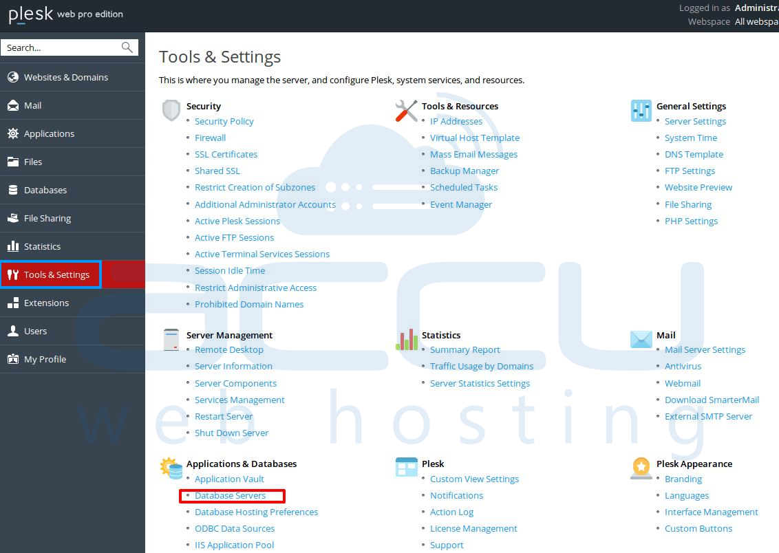 ms sql web edition