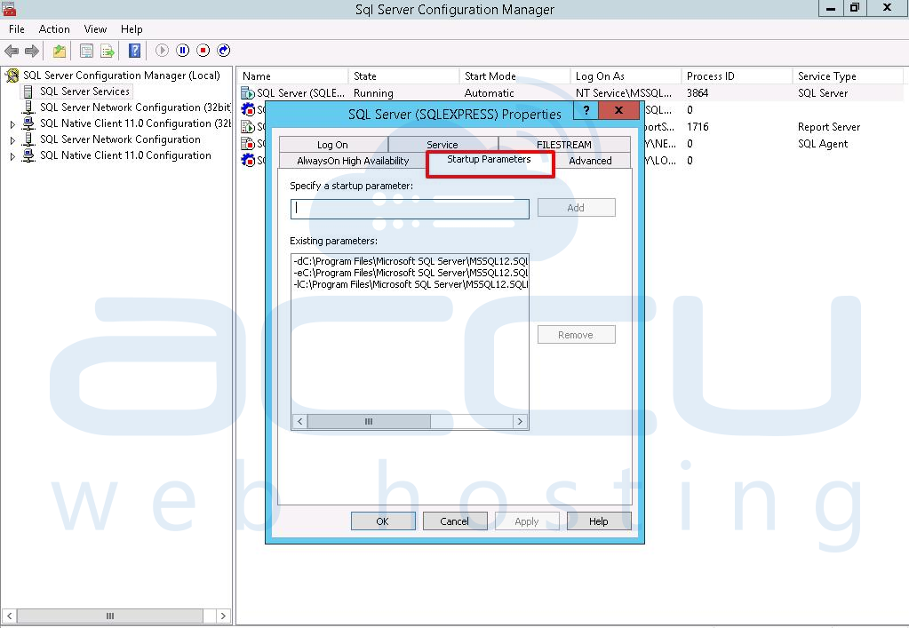 Startup Parameters