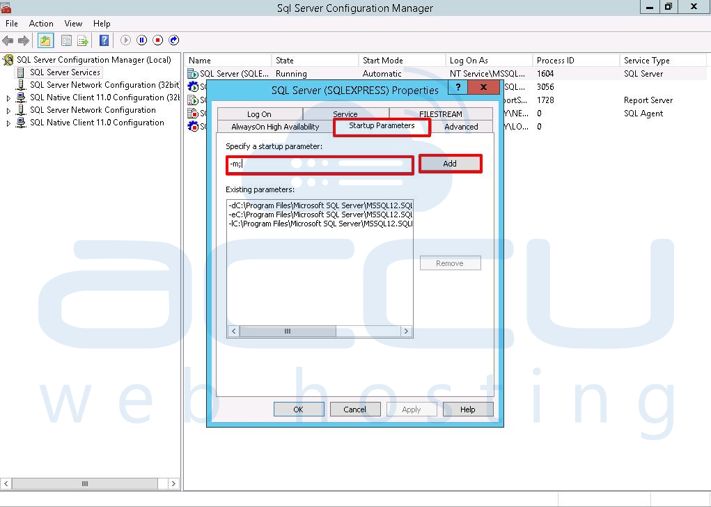Add Startup Parameter