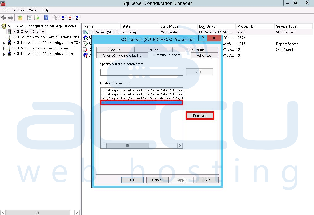 Remove Startup Parameters