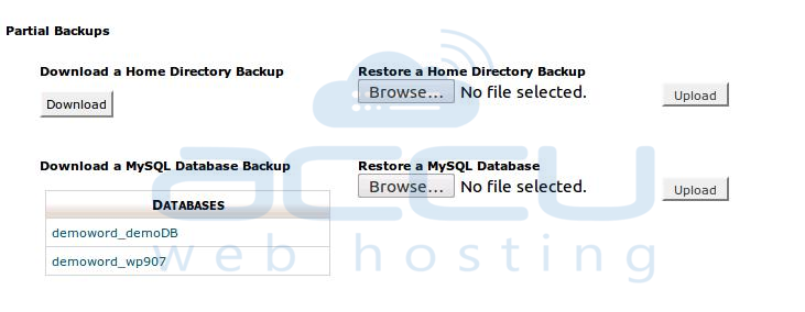 cPanel Partial Backup